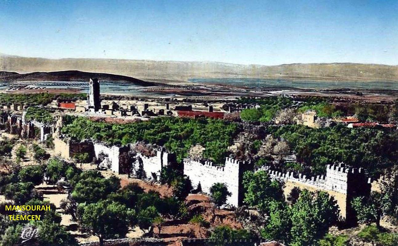 Mansourah - Tlemcen.jpg